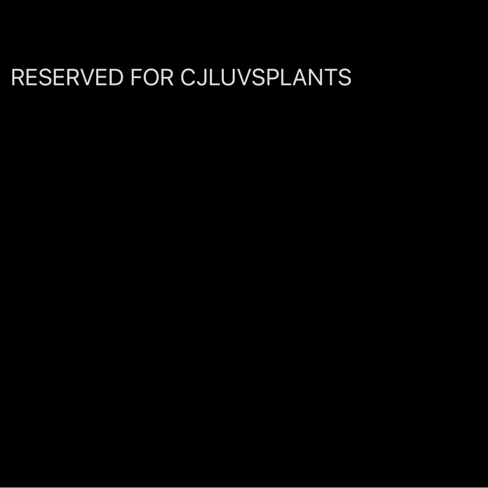 RESERVED for @cjluvsplants